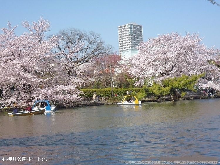東京都立石神井公園「三宝寺池」と「石神井池-ボート池」の2つの池があります。古くからある「三宝寺池」は、江戸時代には枯れることがないと言われた池。井の頭池、善福寺池とともに武蔵野三大湧水池として知られています　