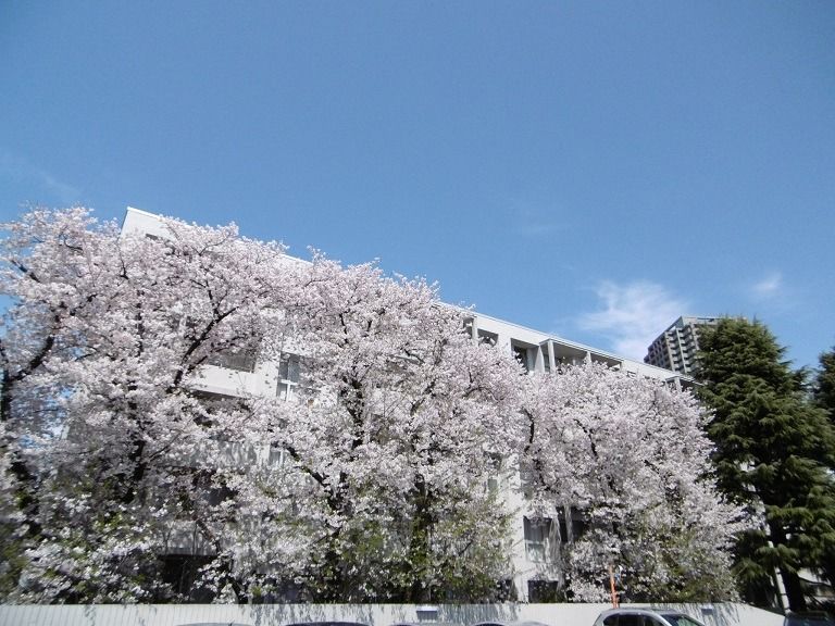 手数料全て 50 Off 半額以下 大福 石神井公園賃貸居住